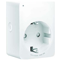 WLAN access point 45244