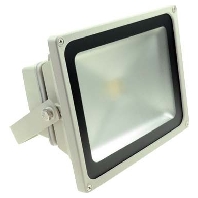 Downlight/spot/floodlight 1x30W 90227