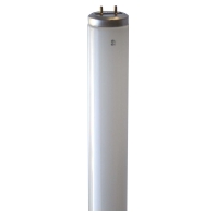 Leuchtstofflampe T12 38x740mm G13 33W/840 68050