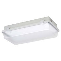 LED-Wannenleuchte IP65, SK I 164KL L08G2