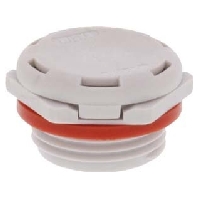 Accessory for luminaires DAE20