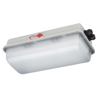 Ex-proof emergency/security luminaire e856F L05/1/1,6