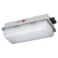 LED-Ex-Notleuchte IP66, SK I e856F L05/1/1,6