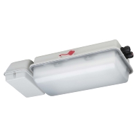Ex-proof emergency/security luminaire e856F L10/1/1,6 H