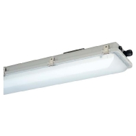 Explosion proof luminaire fixed mounting e865 12L85