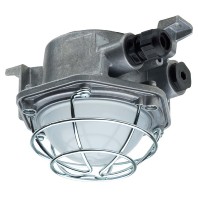 Explosion proof luminaire fixed mounting e9312F SK