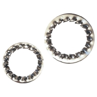 Lock washer 255110