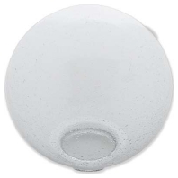 Cover for luminaires EG L 560