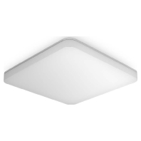 Sensor-LED-Leuchte ww RS PRO Conn. 067748
