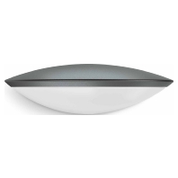 Ceiling-/wall luminaire L 825 LED BLE ANT