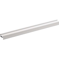 Divider profile for wireway MH2024