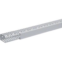 Slotted cable trunking system 60x40mm BA7 60040 gr
