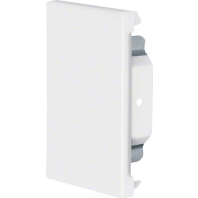 Endplatte BRS 651006 verz