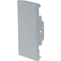 Endplatte BRS 651306 verz