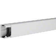 Leitungsfhrungskanal B60xH40mm LF 400600 lgr