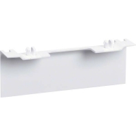 Cover for skirting duct 80x20mm SL 20080AC rws