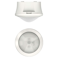 Presence detector 4m theRondaS3602080555
