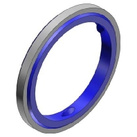 Sealing ring 5266