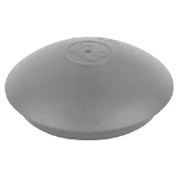 Plug for cable screw gland NPT2 1/2 inch 5716