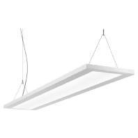 LED-Anbau/Pendel-Leuchte 4000K DALI LuceoS D/H2 7017751