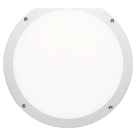 LED-Wand-/Deckenleuchte Skeo Circ M 7213940