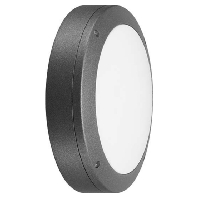 LED-Wand-u.Deckenleuchte anthrazit Skeo Circ 7113040