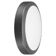 LED-Wand-u.Deckenleuchte anthrazit Skeo Circ 7113140