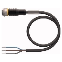 Sensor-actuator patch cord 10m M12 RKC4T-10/TEL
