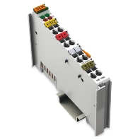 Fieldbus analogue module 2 In / 0 Out 750-482