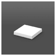 Leuchtenabdeckung 08-221073.002