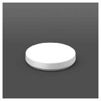 Leuchtenabdeckung 08-311600.002
