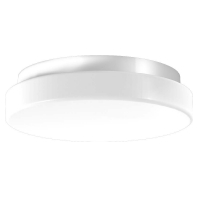 LED-Decken-/Wandleuchte 3000K D300 H75 211209.002