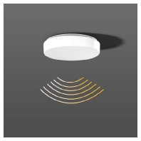 Ceiling-/wall luminaire 1x13W 311950.002.2.19