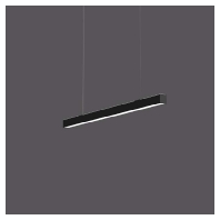 LED-Pendelleuchte 4000K DALI 312211.003.1.76