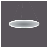 LED-Pendelleuchte DALI 3000K 312159.002.76
