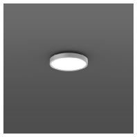 LED-Wand-u.Deckenleuchte 4000K silber DALI 312420.004.1.76