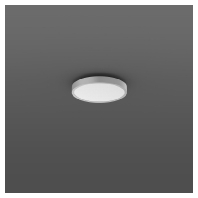 LED-Wand-u.Deckenleuchte 2700-6500K si s+f 312423.004.2.730