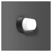 LED-Wand-/Deckenleuchte 3000K, anthrazit 582062.0031