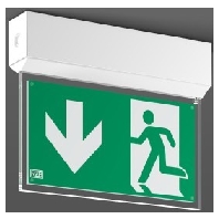 LED-Sicherheitsleuchte wei, 3h, autom.Test 672420.002