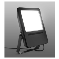 Downlight/spot/floodlight 1x150W 722127.003