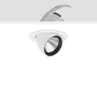 Downlight/spot/floodlight 1x29W 911574.002