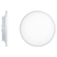 LED-Wand-/Deckenleuchte 4000K CAELA RMS 62908667