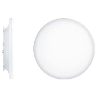 LED-Wand-/Deckenleuchte 3000K CAELA RMS 60817667