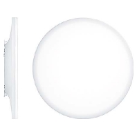 LED-Wand-/Deckenleuchte 4000K CAELA RLS 60817671