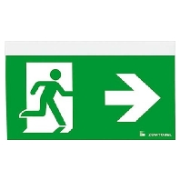 Pictogram for emergency luminaire COSIGN150 22168650