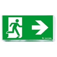 Pictogram for emergency luminaire ECOSIGN C 22166880