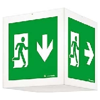 Pictogram for emergency luminaire CUBESIGN 22168758