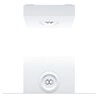 Sicherheitsleuchte RESCLITE P 42185713