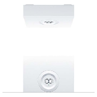 Sicherheitsleuchte wei RESCLITE 42185705