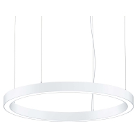 LED-Rundleuchte 930, ws SLOIN R DI 42187670